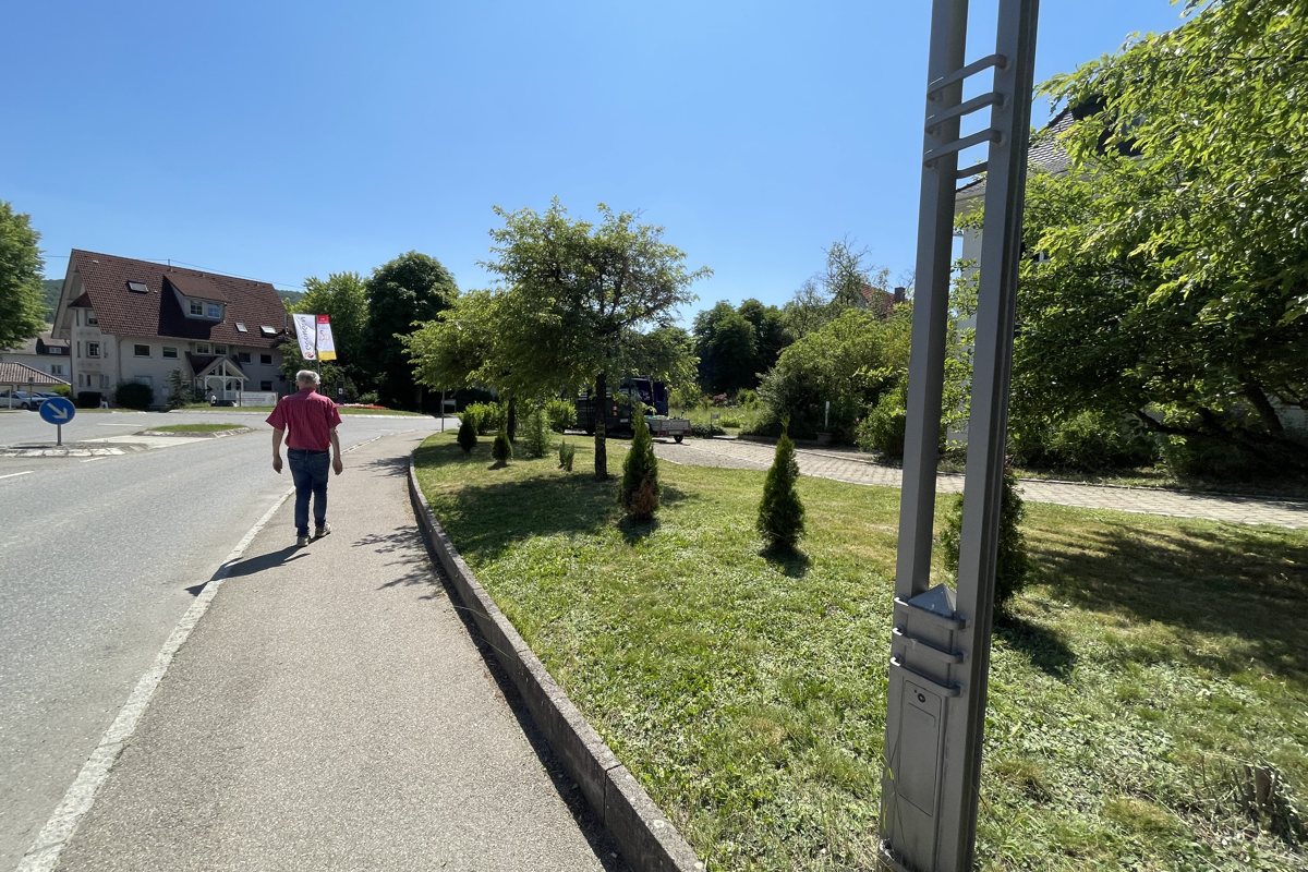 Grünstreifen nach der Pflege
