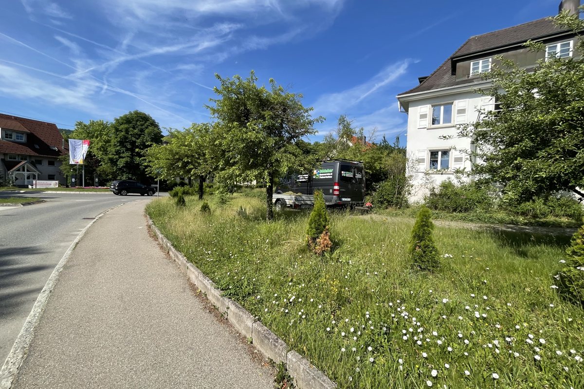Außenanlagenpflege im Landkreis Tuttlingen: Grünstreifen vor der Pflege mit hohem Bewuchs