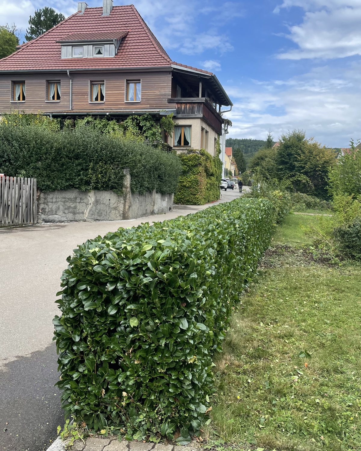 Frisch geschnittene Hecke an einem Wohnobjekt in Tuttlingen