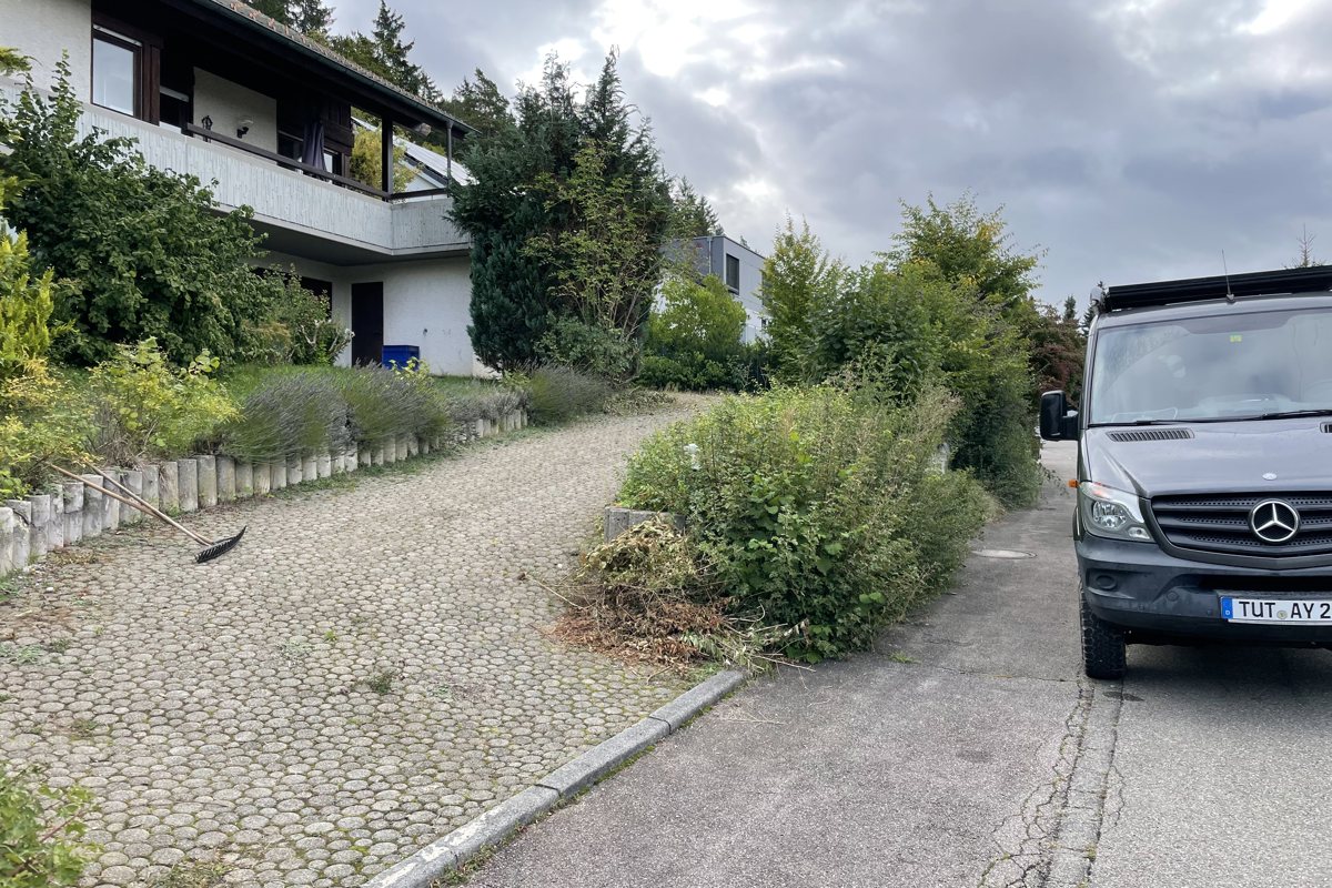 Zugewachsene Einfahrt vor der Unkrautentfernung