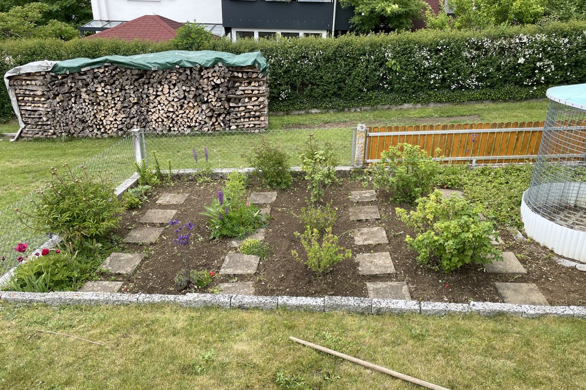Beetfläche nach der Pflege mit freigestellten Pflanzen