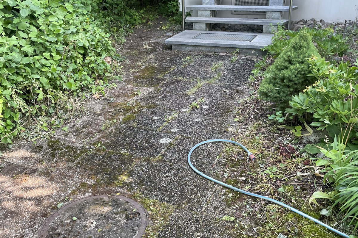 Zugewachsener Pflasterweg zum Eingang vor der Reinigung