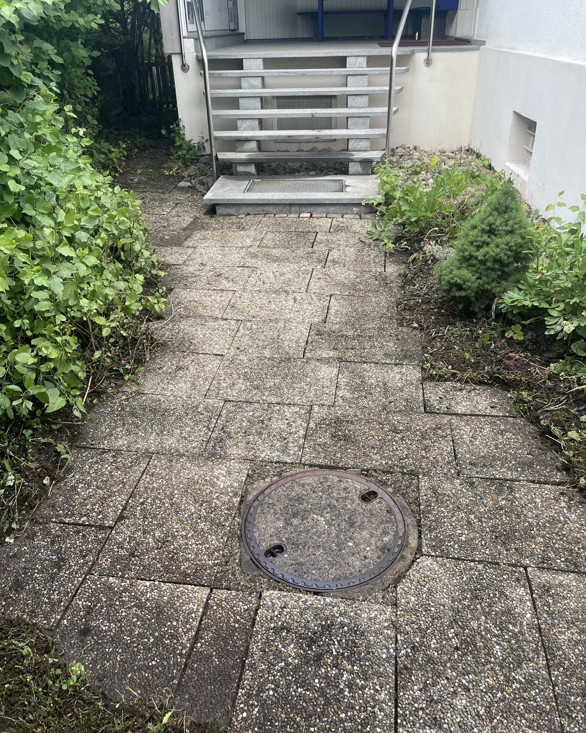 Freigelegter Pflasterweg nach der Reinigung