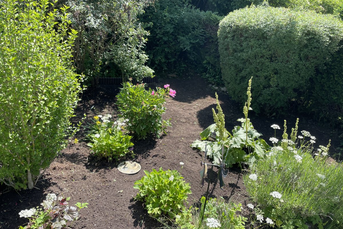 Gartenbereich nach der Aufarbeitung
