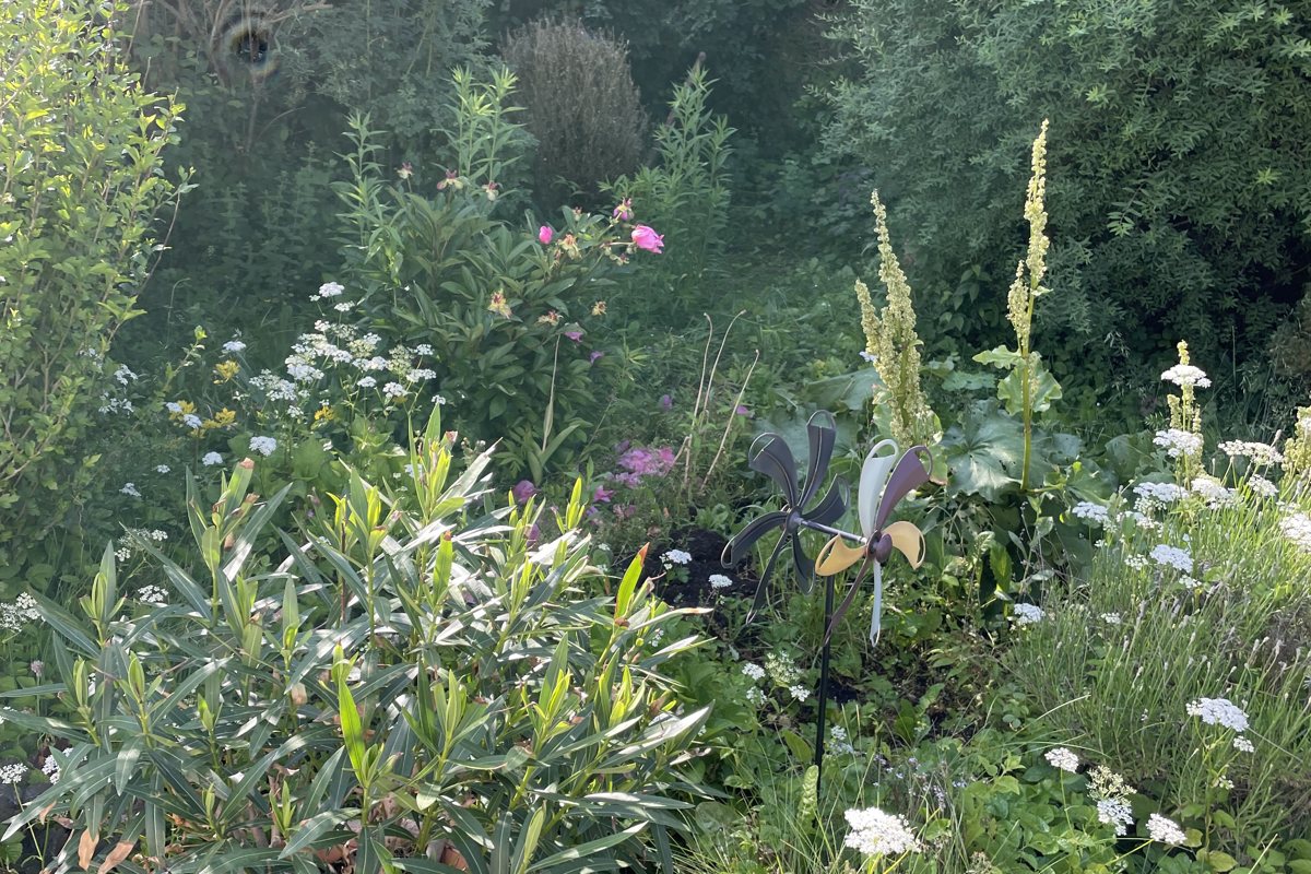 Verwilderter Gartenbereich vor der Aufarbeitung