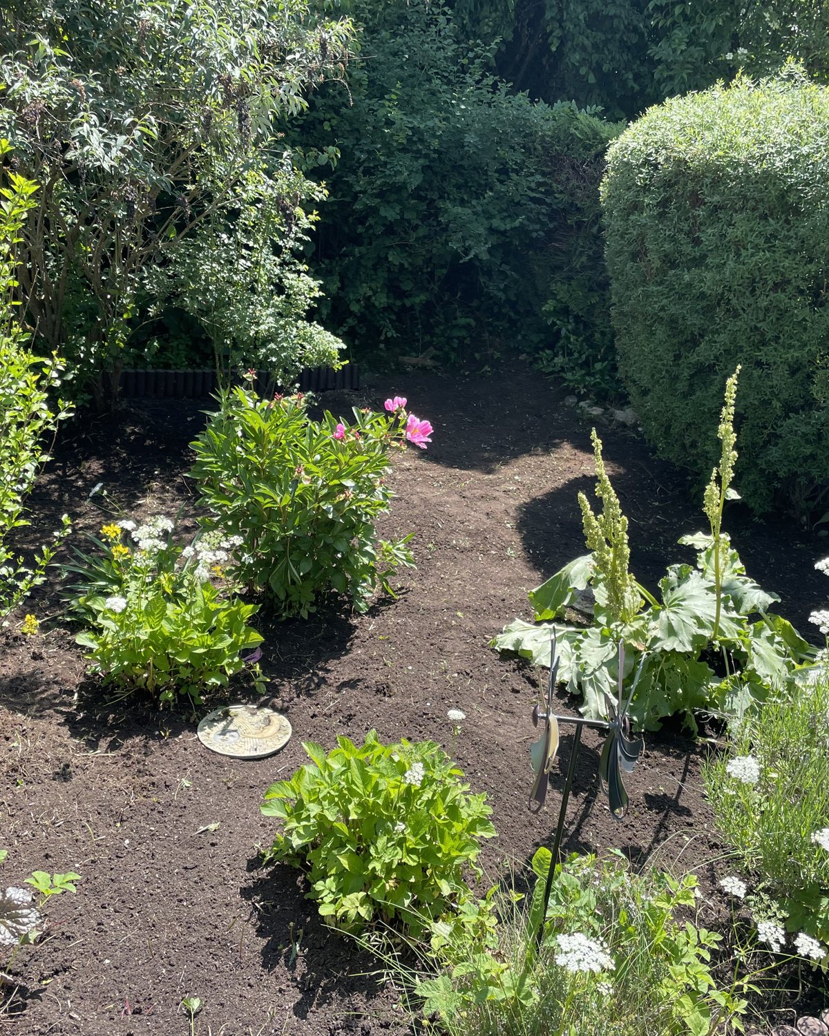 Gartenbereich nach der Pflege mit freigestellten Stauden