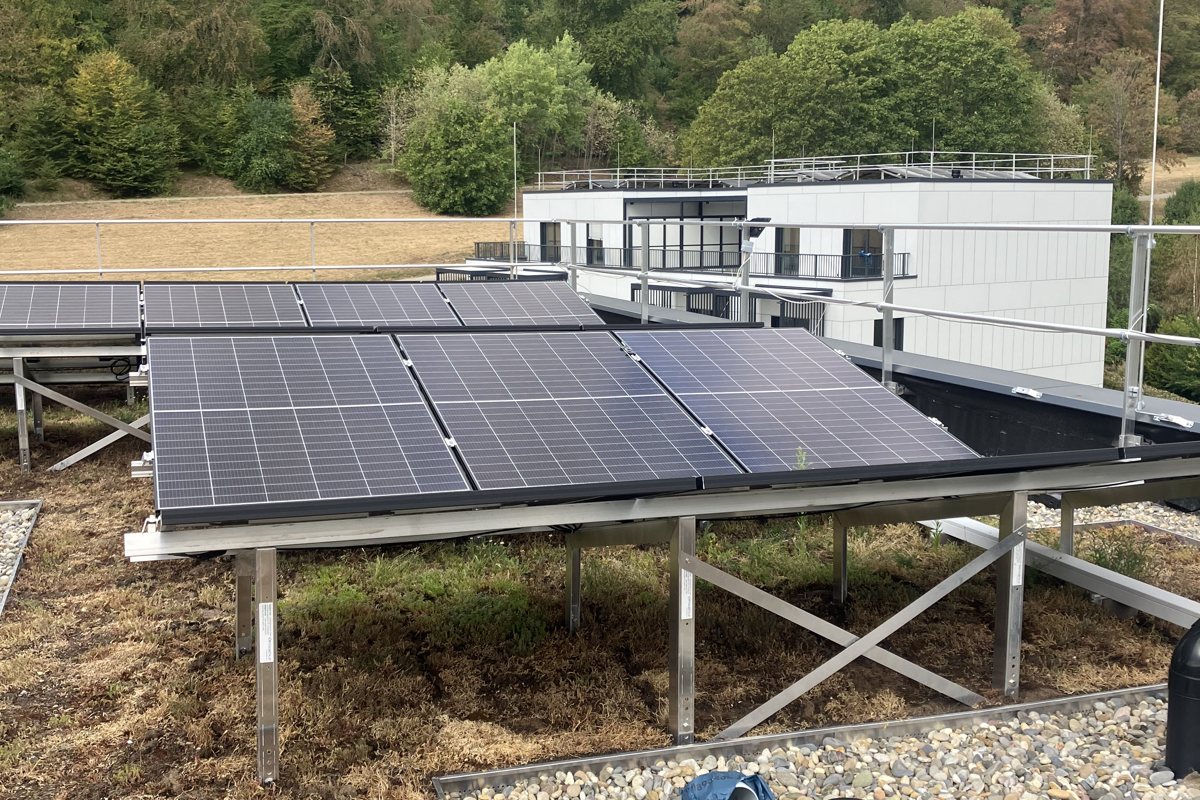 Vegetationspflege an PV-Anlagen: Solarmodule mit kurz gehaltenem Bewuchs